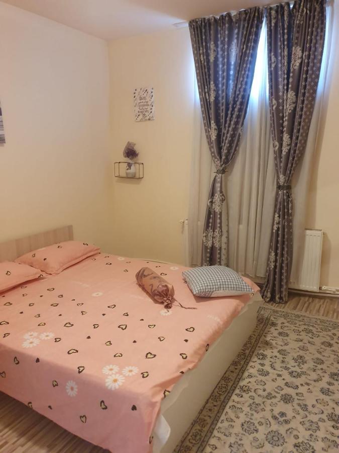 Hôtel Relax Haus à Hunedoara Extérieur photo