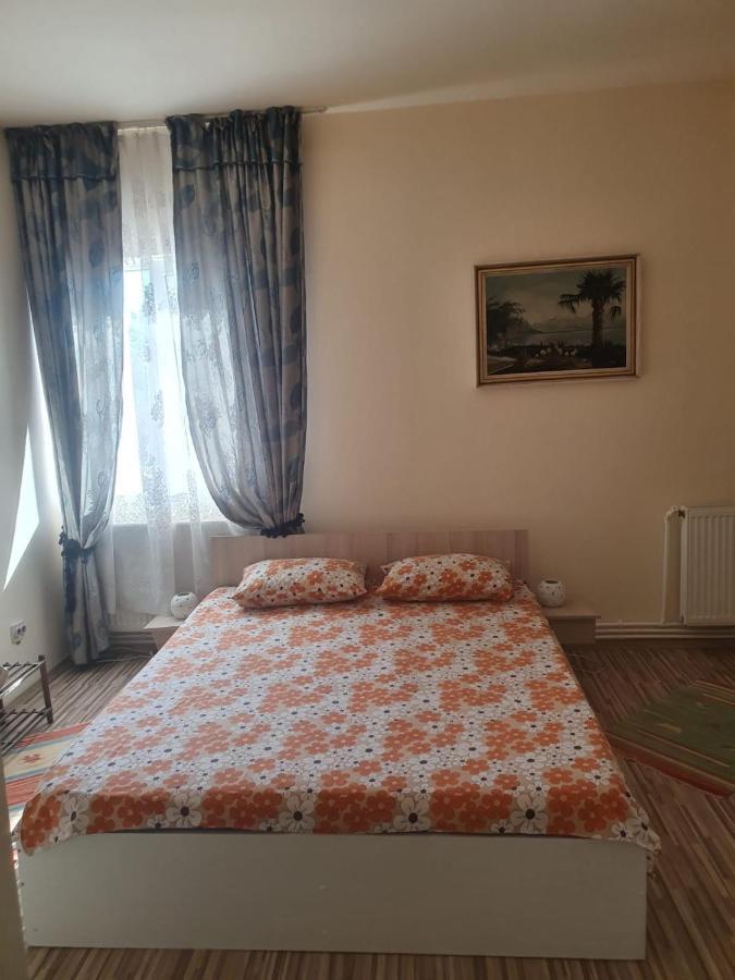 Hôtel Relax Haus à Hunedoara Extérieur photo